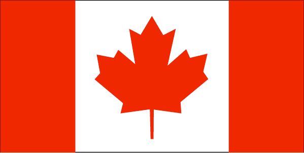 为什么在加拿大注册MSB牌照呢？